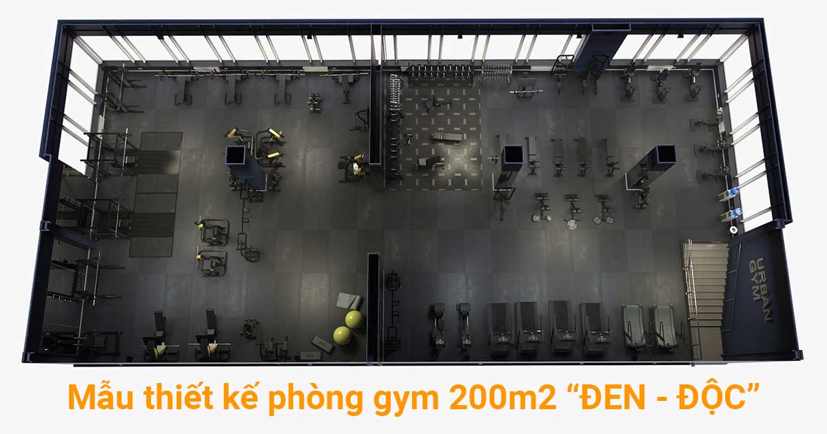 Hơn 200m2 phòng gym 200m2 đáp ứng mọi nhu cầu tập luyện