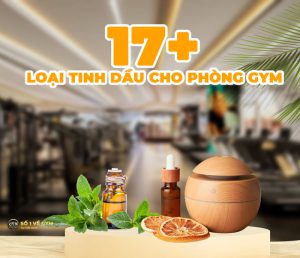 tinh-dau-cho-phong-gym